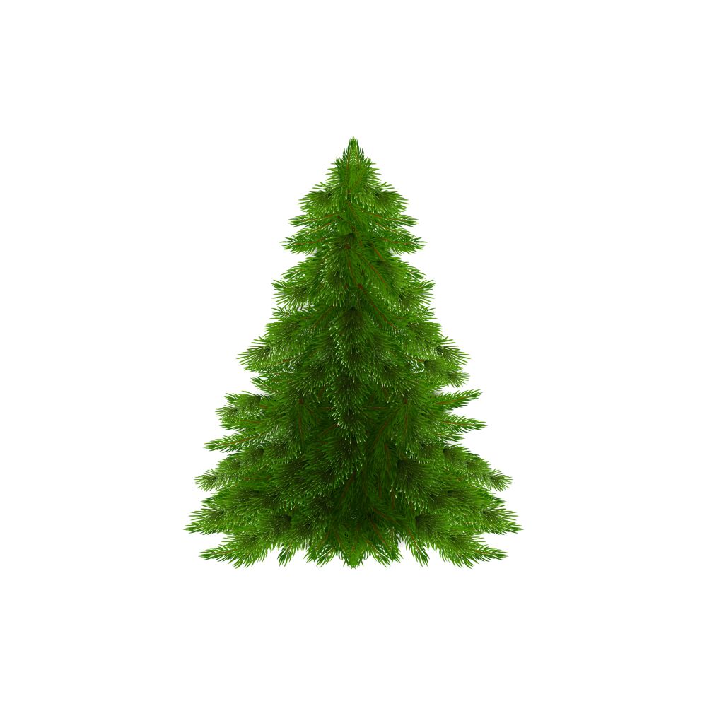 Abholung der Weihnachtsbäume